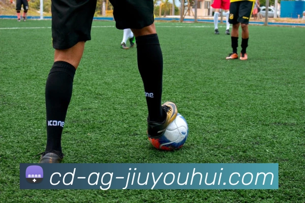 多媒体互动体验